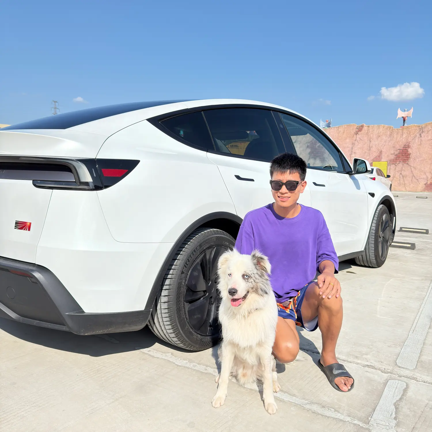 Tesla Model Y owner with a dog