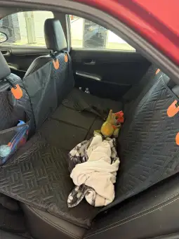 Customer review photo