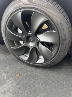 Customer review photo