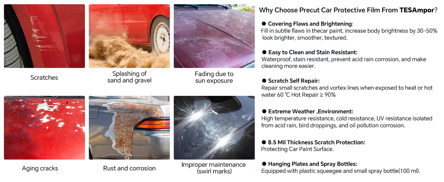 Precut PPF Paint Protection Film Kit for Tesla Cybertruck