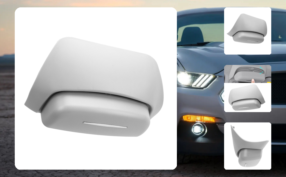 Sunglasses Storage Case for Tesla Model Y
